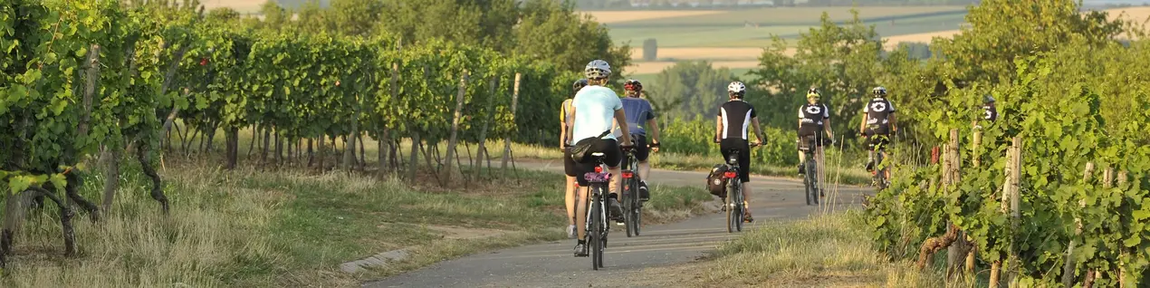 Radfahren im Aktivurlaub auf dem Land