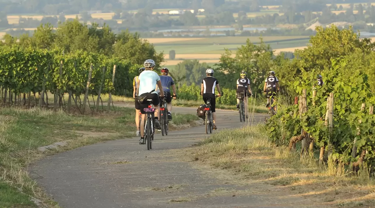 Radfahren im Aktivurlaub auf dem Land