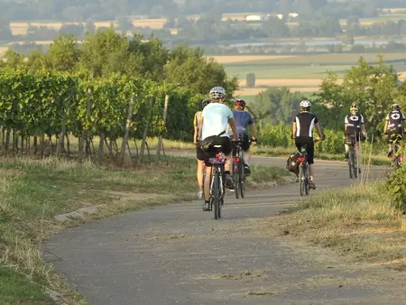 Radfahren im Aktivurlaub auf dem Land"
