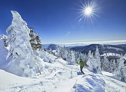 im Winterurlaub im Bayerischen Wald Skifahren, rodeln oder Schneeschuhwandern