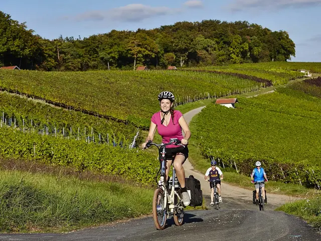 Radfahren in den Weinbergen bei Külsheim - © Tourismusverband Liebliches Taubertal e.V., Peter Frischmuth im Urlaub im Taubertal eine Radtour durch die Weinberge machen