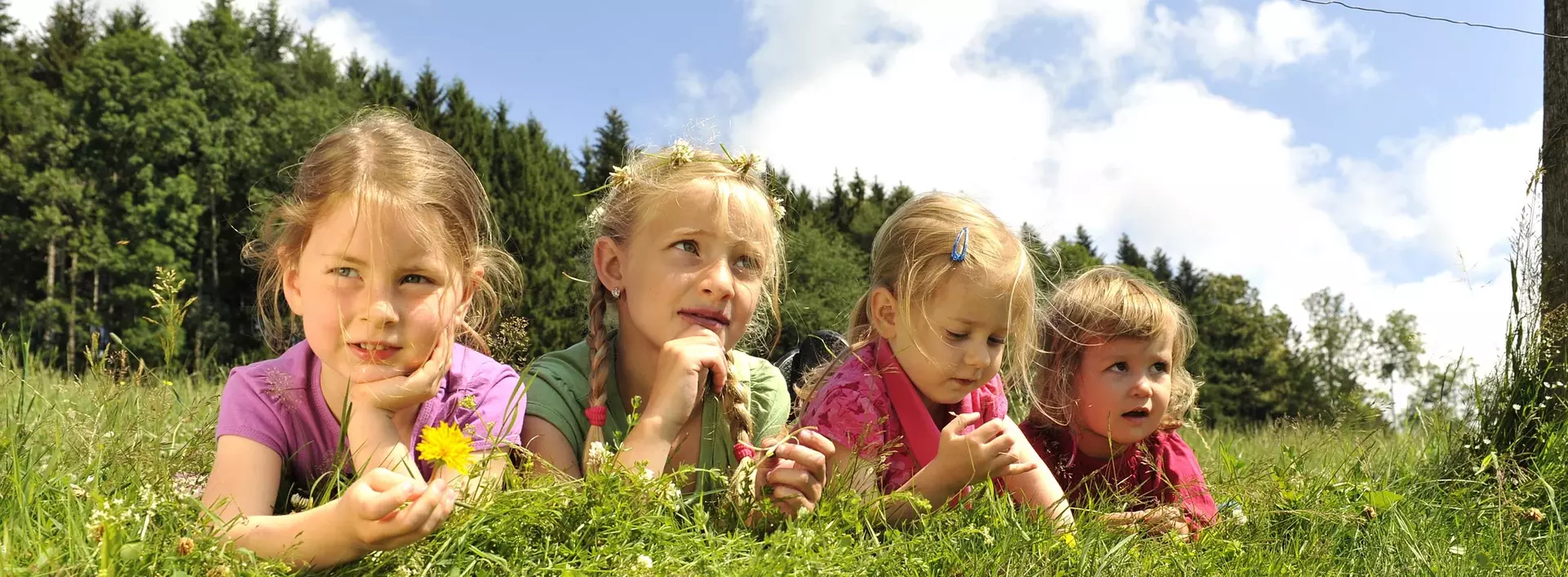 im Urlaub auf dem Kinderhof in Baden-Württemberg spielen Kinder auf einer Blumenwiese