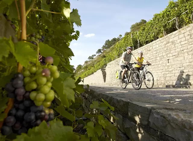 im Urlaub auf dem Weingut am Bodensee eine Radtour machen