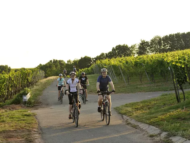 gemeinsam eine Radtour durch die Weinberge machen