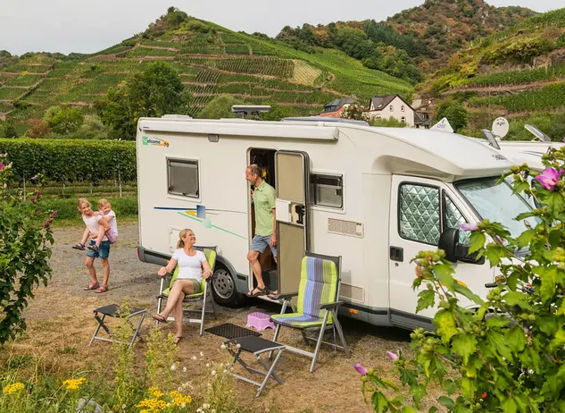 im Urlaub mit dem Wohnmobil auf dem Winzerhof im Ahrtal bei der Weinlese mithelfen