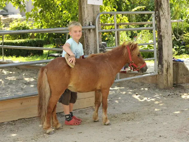 Urlaub auf dem Reiterhof: Junge macht Reiterferien auf dem Ponyhof und und putzt ein Pferd