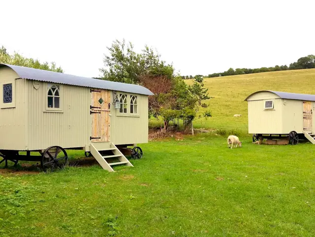 Mehrere Schäferwagen stehen auf einer grünen Wiese in ländlicher Umgebung