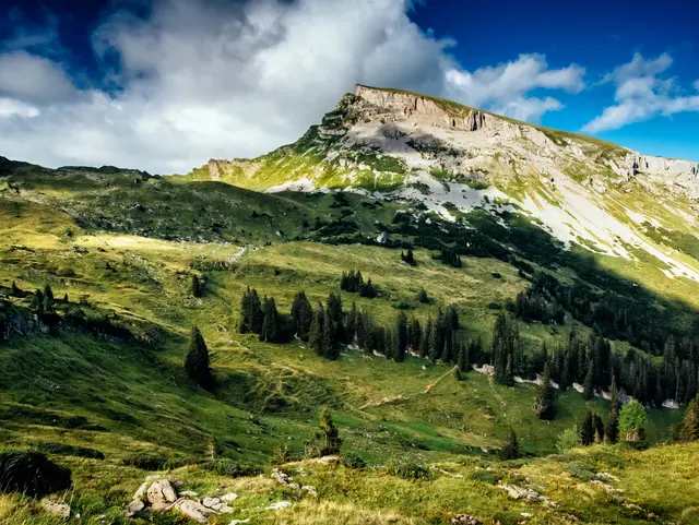 Blick von der Schwarzwasserhütte auf den markanten Hohen Ifen mit seinem felsigen Gipfelplateau im Kleinwalsertal in Österreich.
