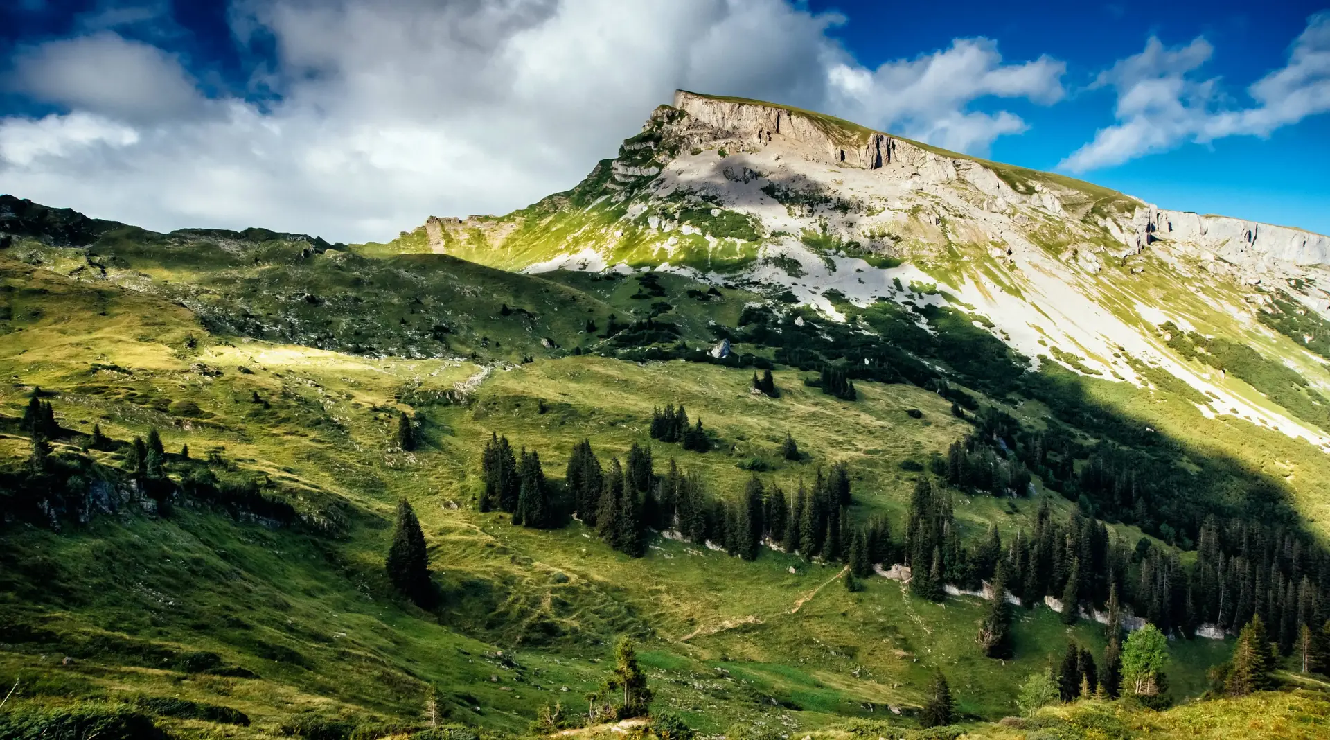 Blick von der Schwarzwasserhütte auf den markanten Hohen Ifen mit seinem felsigen Gipfelplateau im Kleinwalsertal in Österreich.
