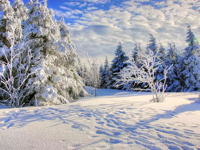 im Winterurlaub im Harz eine Winterwanderung machen