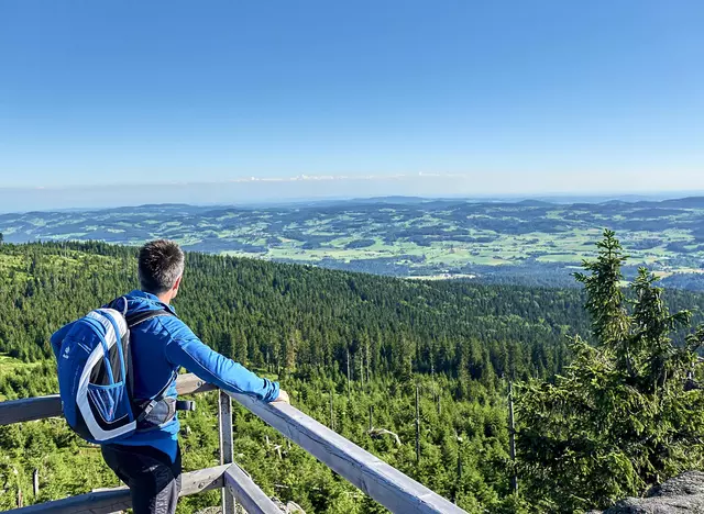 im Wanderurlaub im Bayerischen Wald auf dem Goldsteig wandern und den Ausblick genießen