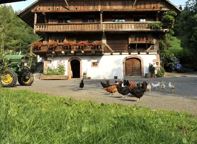 Urlaub auf dem Bauernhof im Schwarzwald erleben und in einem traditionellen Schwarzwaldhaus wohnen