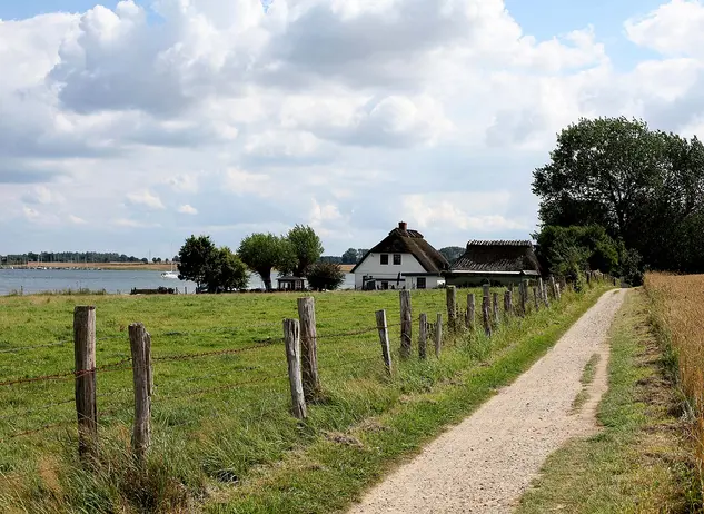 im Urlaub auf dem Bauernhof in Schleswig-Holstein eine Wanderung vorbei an Feldern und Reetdachhäusern unternehmen