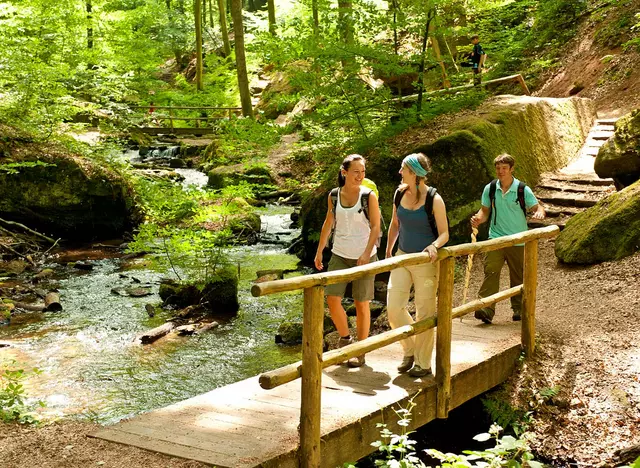 im Wanderurlaub in der Pfalz eine Wandertour auf dem Pfälzer Waldpfad durch die
wildromantische Karlstalschlucht bei Trippstadt machen