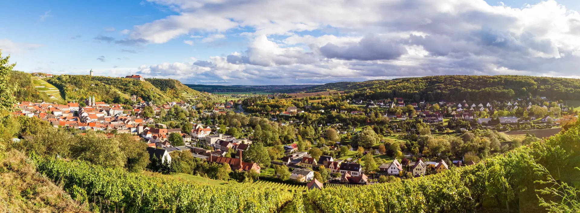 Die Weinstadt Freyburg an der Unstrut