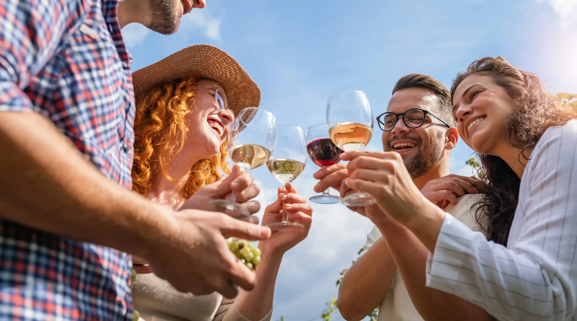 Freunde genießen eine Weinprobe im Weinberg - © lordn, adobe stock Gruppe junger Freunde stößt bei einer Weinprobe im Weinberg mit Weingläsern an.