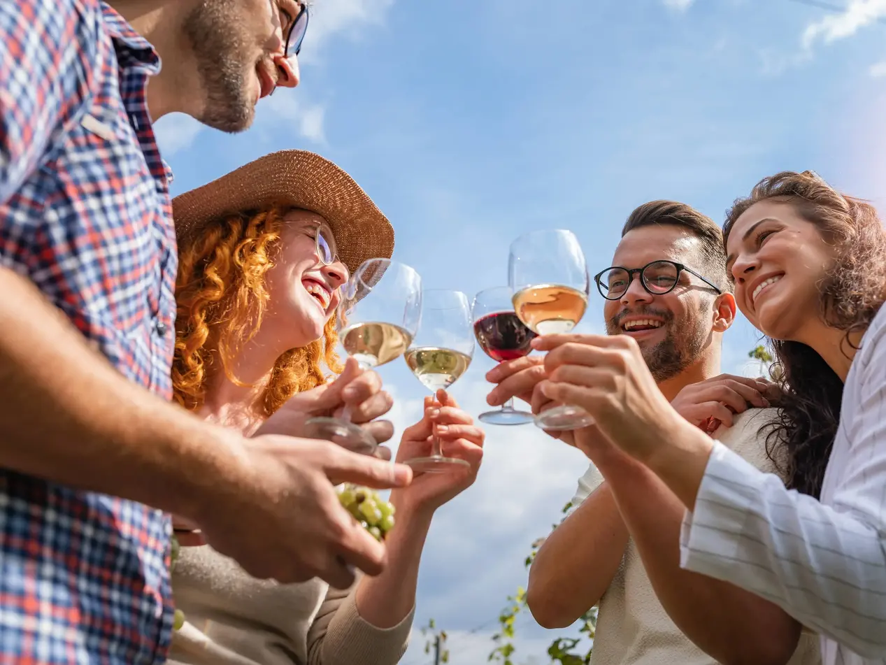 Freunde genießen eine Weinprobe im Weinberg - © lordn, adobe stock Gruppe junger Freunde stößt bei einer Weinprobe im Weinberg mit Weingläsern an.
