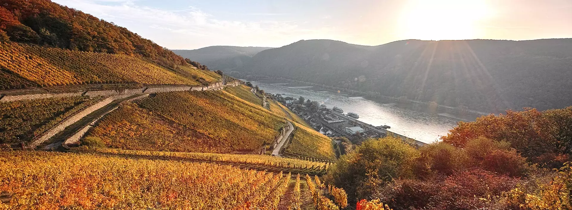 Von den Weinberge bei Assmannshausen bietet sich ein herrlicher Ausblick ins Rheingau.