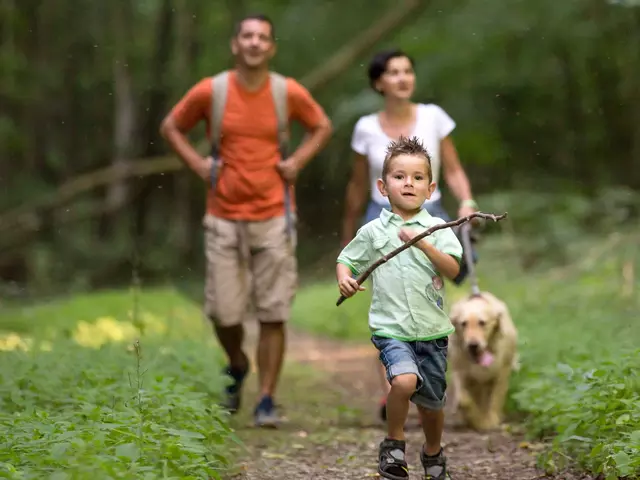 im Urlaub mit Hund am Nationalpark Hainich eine Wanderung unternehmen