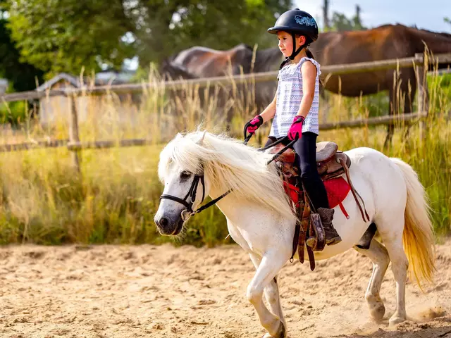 im Urlaub auf dem Kinderhof lernen Kinder unter Anleitung das Ponyreiten