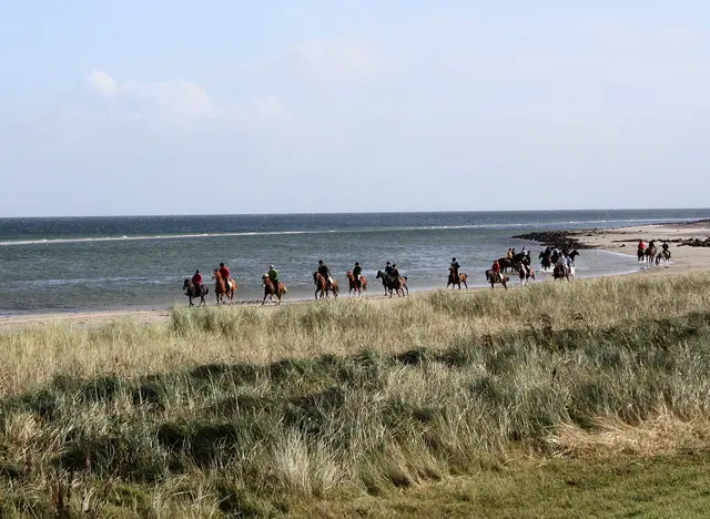 mit der Reitgruppe am Strand ausreiten
