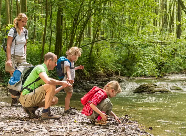 im Urlaub auf dem Bauernhof im Hunsrück einen Familienausflug zum Masdascher Burgherrenweg im Hunsrück machen