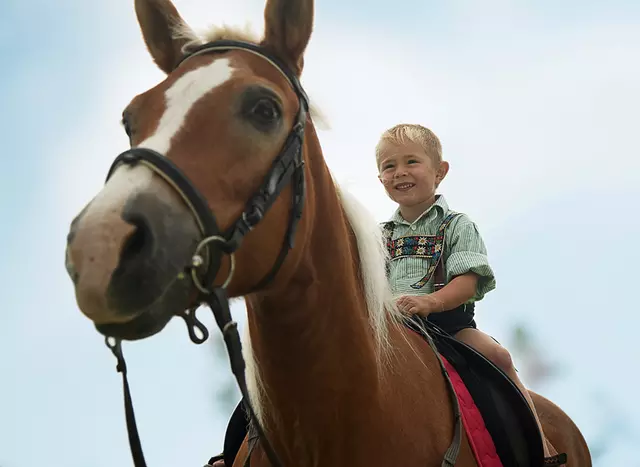 in den Reiterferien in Bayern erste Reitstunden nehmen