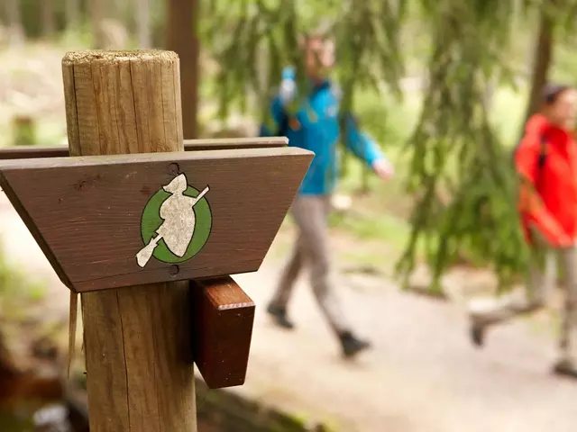 im Urlaub im Harz auf dem Harzer Hexen Steig wandern