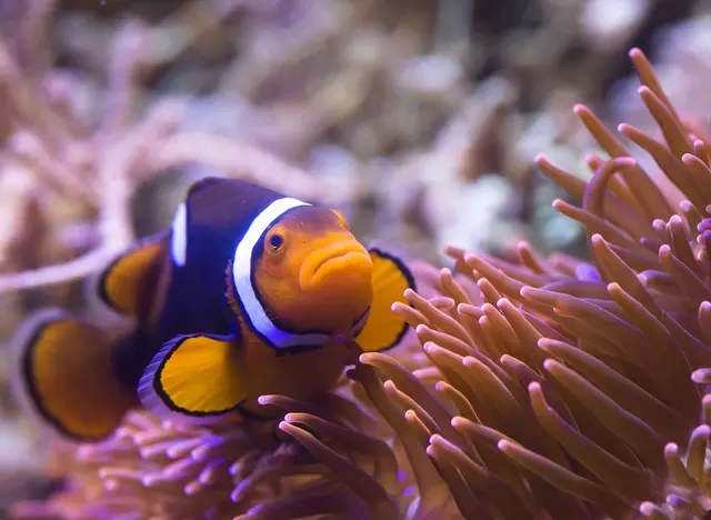 im Familienurlaub auf dem Bauernhof in der Pfalz das SEA LIFE in Speyer besuchen