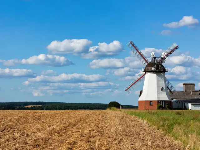 Lüneburger Heide Ferienhäuser: Windmühle