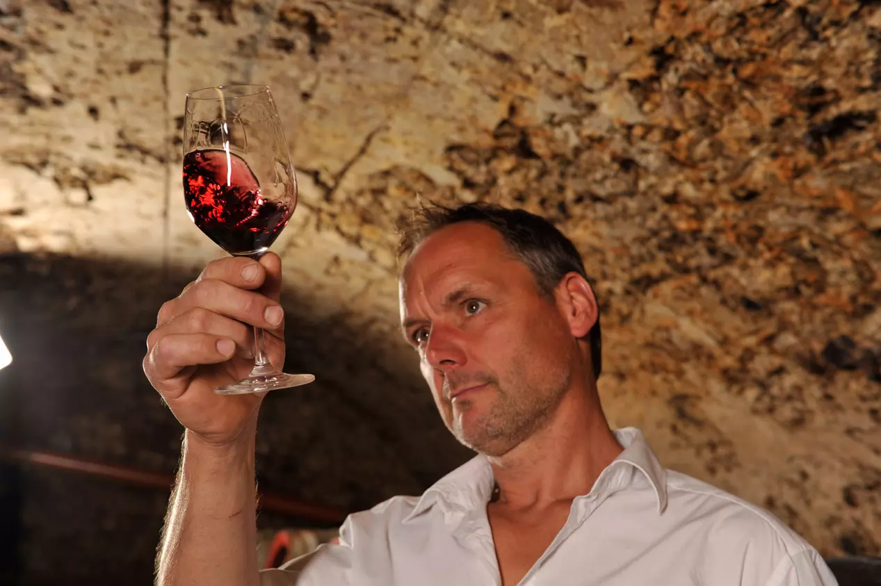 - © , Susanne Mölle Winzer testet Rotwein in urigem Kellergewölbe