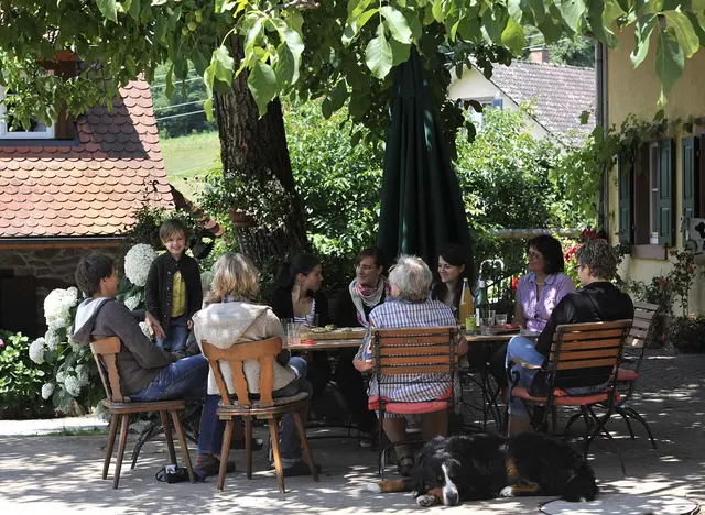 Gruppenreisen und Familientreffen auf dem Land: gemeütliches Beisammensein