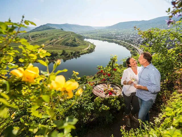 im Urlaub auf dem Weingut an der Mosel eine Weinprobe mit Blick auf die Moselschleife bei Bremm genießen