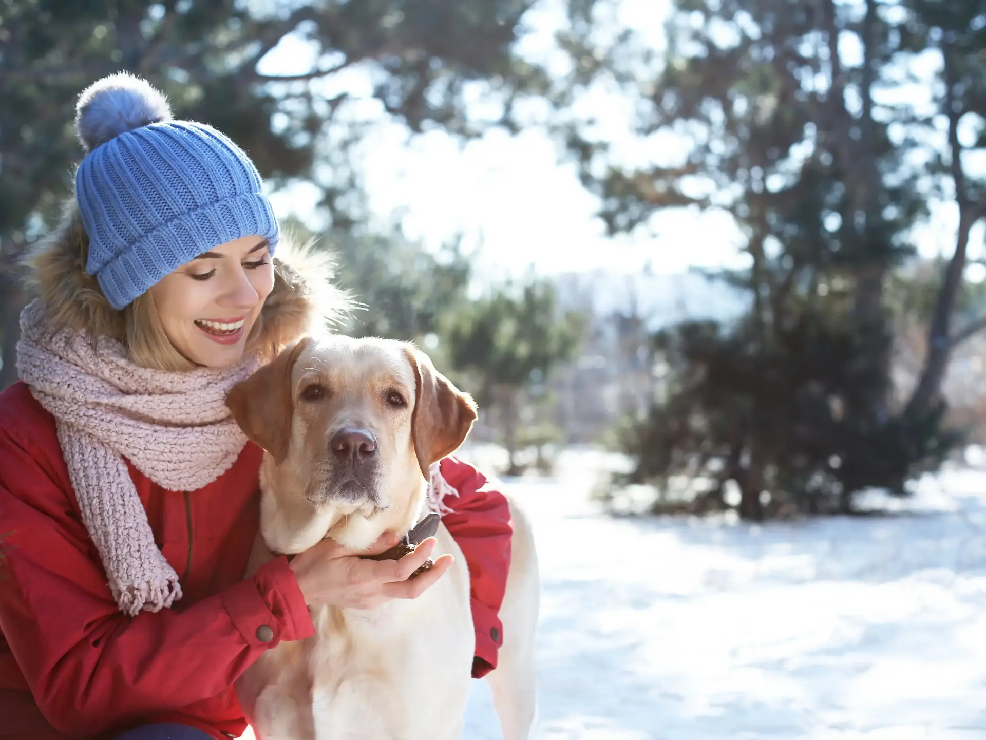 Woman with cute dog outdoors on winter day. Friendship between pet and owner