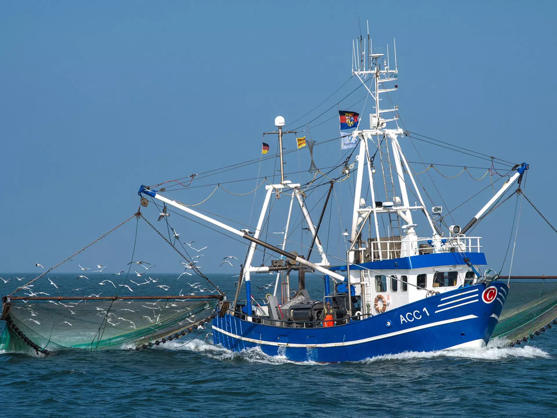 Urlaub an der Nordsee - Frischer Fisch vom Fischerboot aus der Nordsee