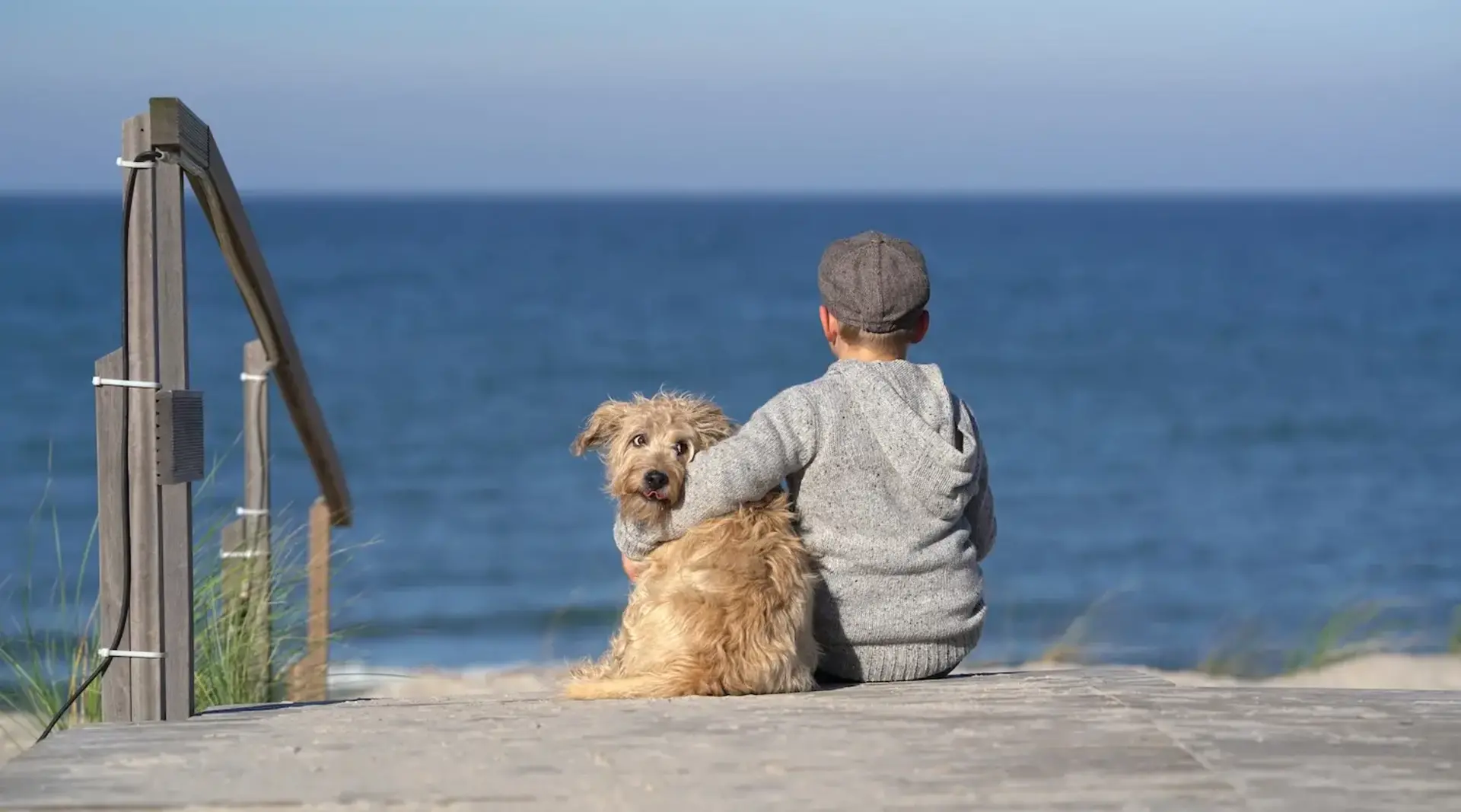 Ein Kind sitzt neben einem Hund und schaut gemeinsam mit ihm auf das Meer bei Grömitz.