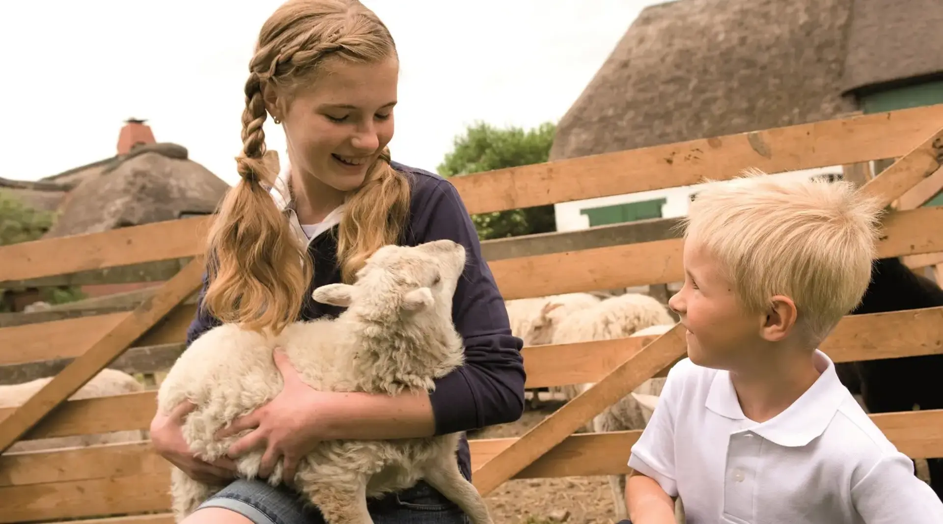 Kinder streicheln Schafe im Urlaub auf dem Kinderbauernhof - © Tourismus-Agentur Schleswig-Holstein, Jens König Zwei Kinder kümmern sich um ein Lamm bei Ihrem Urlaub auf dem Bauernhof in Schleswig-Holstein.