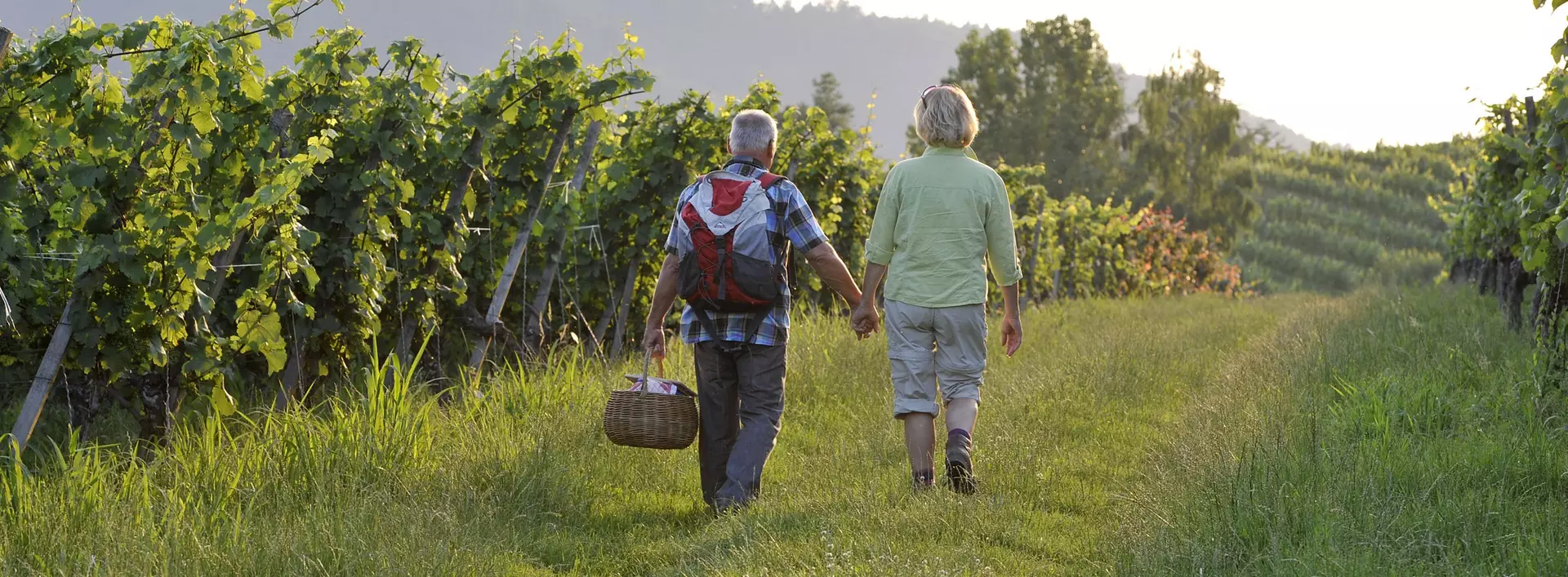 Urlaub auf dem Weingut - bei einer Wanderung durch die Weinberge die schönsten Weinregionen Deutschlands erkunden