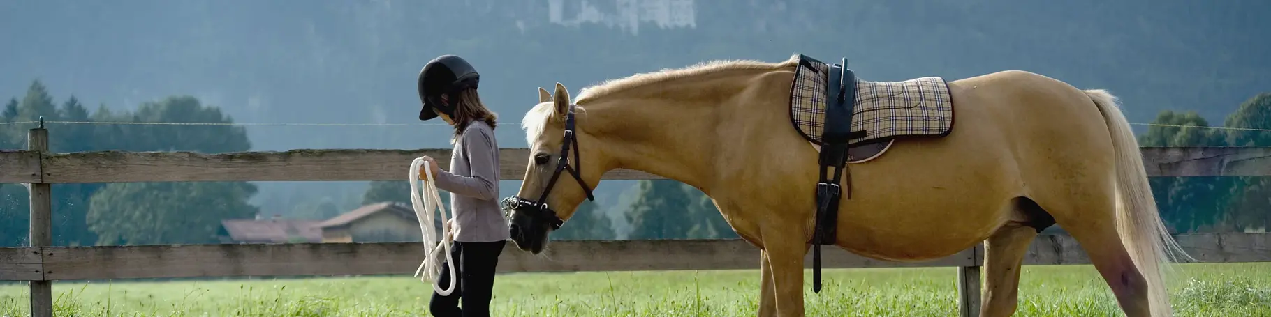 im Urlaub auf dem Reiterhof in Bayern Reitstunden auf dem Reitplatz bekommen