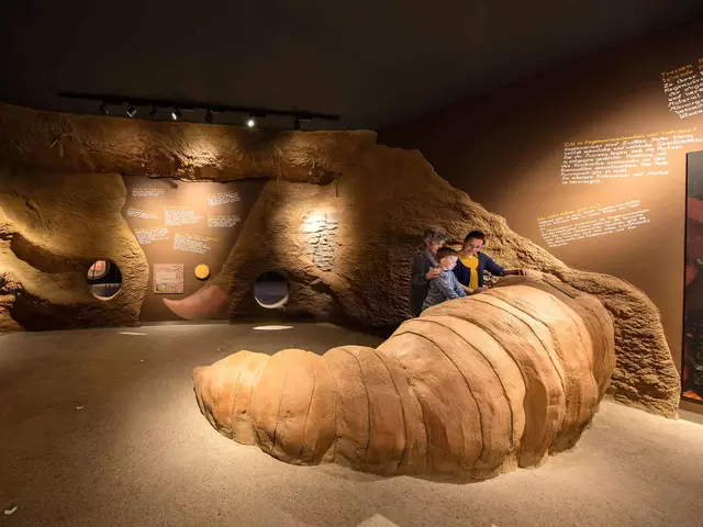 im Urlaub am Nationalpark Hainich die Wurzelhöhle am Baumkronenpfad besuchen