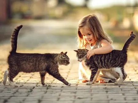 im Urlaub auf dem Kinderbauernhof spielen Kinder mit den Katzen