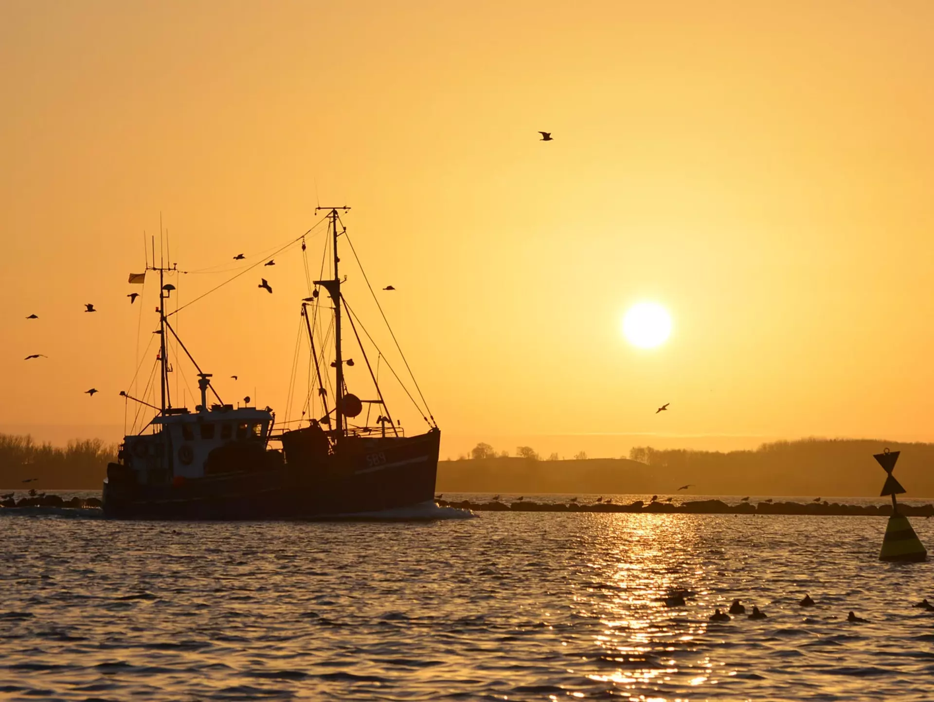 Ein Fischerboot vor Fehmarn bringt fangfrischen Fisch aus der Ostsee