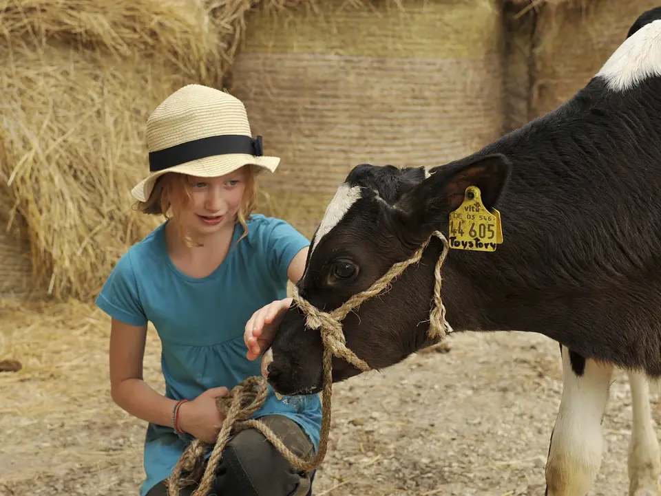 Bei einem Urlaub auf dem Bauernhof können Kinder Tiere erleben, streicheln und bei der Stallarbeit mithelfen.
