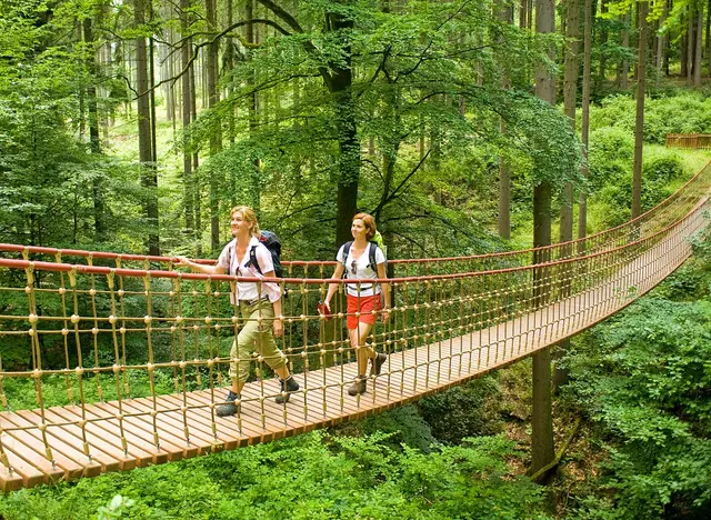 im Urlaub auf dem Bauernhof in Rheinhessen eine Wanderung durch die Kreuzbachklamm bei Bingen machen