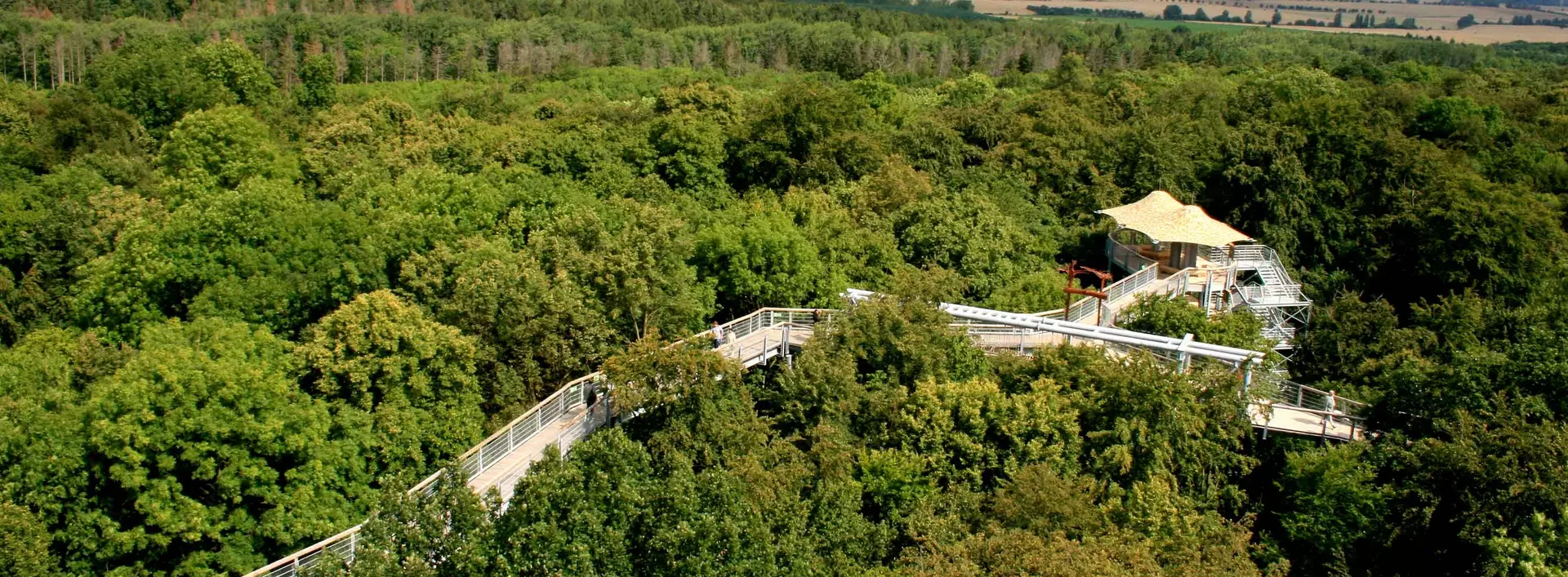 im Urlaub am Nationalpark Hainich den Baumkronenpfad besuchen
