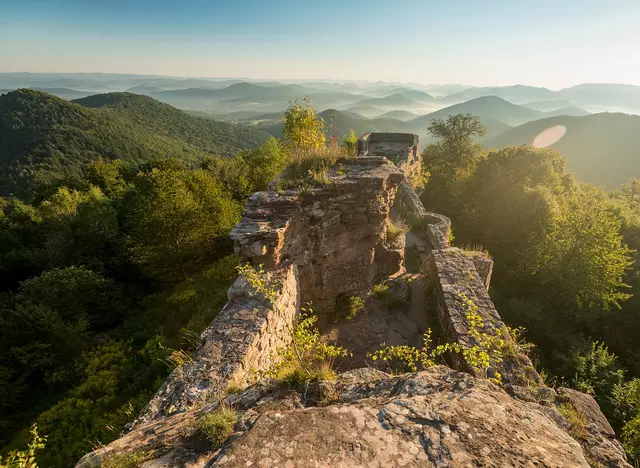 im Urlaub in der Pfalz den Ausblick von der Wegelnburg genießen