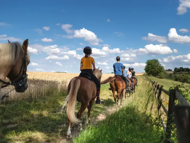Junge Reiter mache einen Ausritt in die Natur.