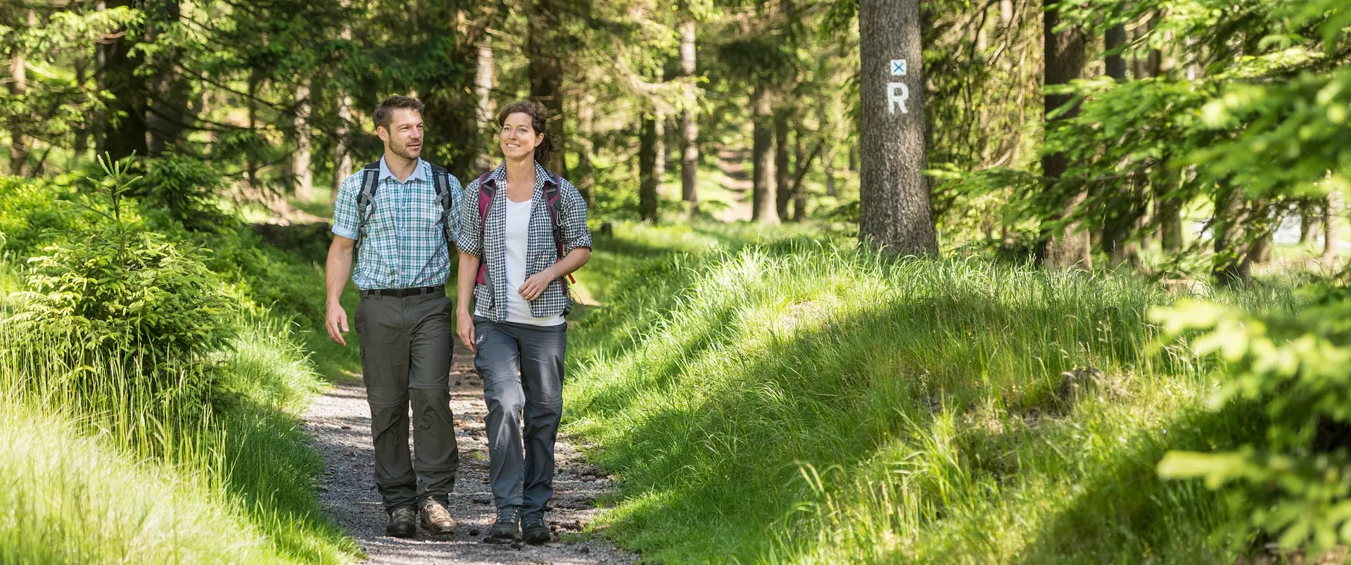 im Wanderurlaub in Thüringen eine Rennsteigwanderung unternehmen