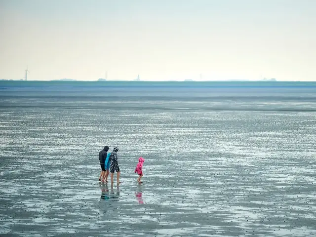 Wattwanderung mit Kindern – Bauernhofurlaub an der Nordsee Kinder und Erwachsene unternehmen eine Wattwanderung an der Nordsee.