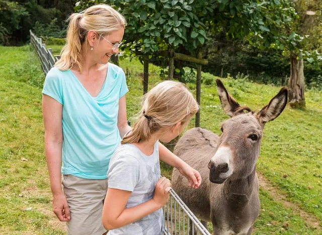 im Urlaub auf dem Bauernhof im Ahrtal Streichelzoo an der Sommerrodelbahn in Altenahr besuchen